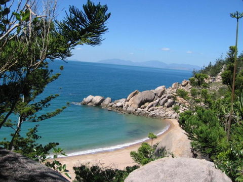 AFFORDABLE ISLAND ESCAPE! Queen Studio, Nelly Bay - Australia Accommodation 3