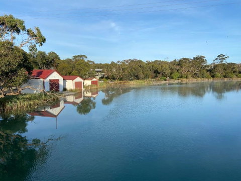 Anglesea Rivergums - Australia Accommodation 1