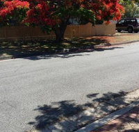 Baringa Bed & Breakfast - Australia Accommodation