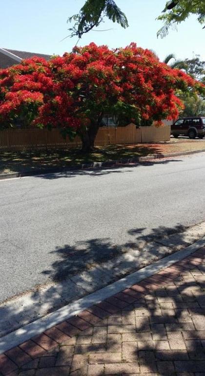 Baringa Bed & Breakfast - Australia Accommodation 0