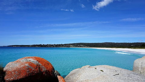 BAY OF FIRES BEACH SHACK Ocean Views From A Modern Beachhouse - Australia Accommodation 3