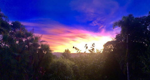 Daintree Manor B&B - Australia Accommodation 3