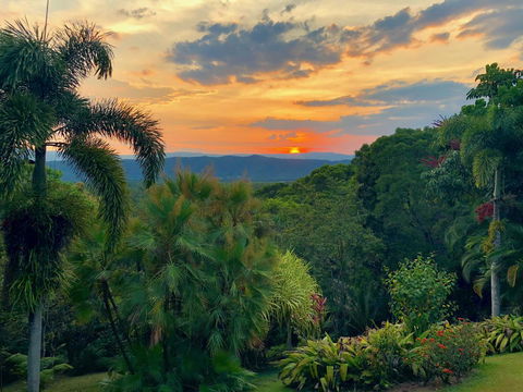 Daintree Manor B&B - Australia Accommodation 13