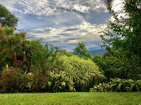 Daintree Manor B&B - Australia Accommodation 2