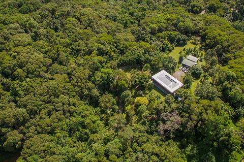 Daintree Manor B&B - Australia Accommodation 14