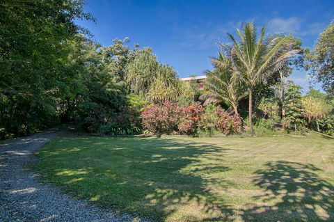 Daintree Manor B&B - Australia Accommodation 19