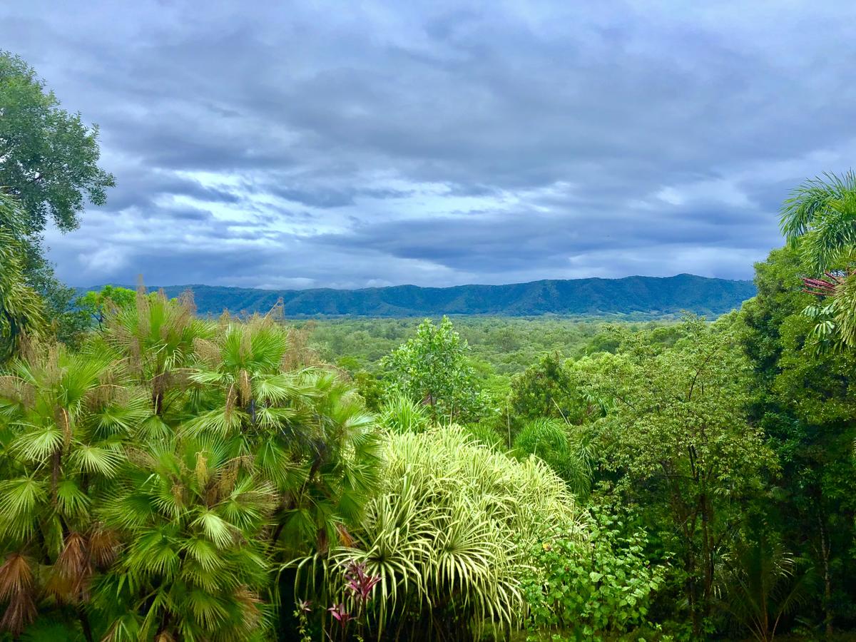 Forest Creek QLD Australia Accommodation