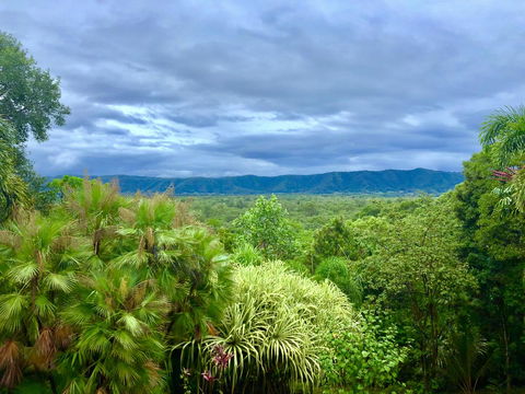 Daintree Manor B&B - Australia Accommodation 0