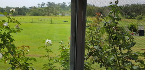 Hay Point Country BnB - Australia Accommodation 6