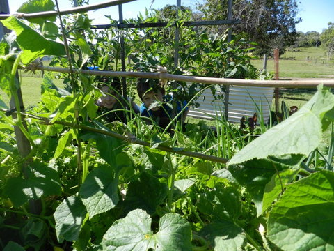 Hay Point Country BnB - Australia Accommodation 17