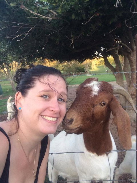 Hay Point Country BnB - Australia Accommodation 13