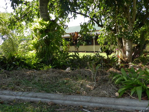 Hay Point Country BnB - Australia Accommodation 23