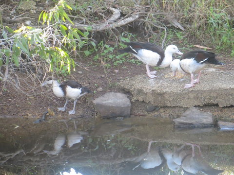 Hay Point Country BnB - Australia Accommodation 22