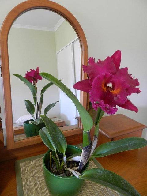 Hay Point Country BnB - Australia Accommodation 10