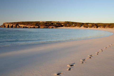 Hanson Bay Cabins - Australia Accommodation 16