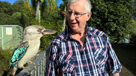 Magnetic Island Bed And Breakfast - Australia Accommodation 33