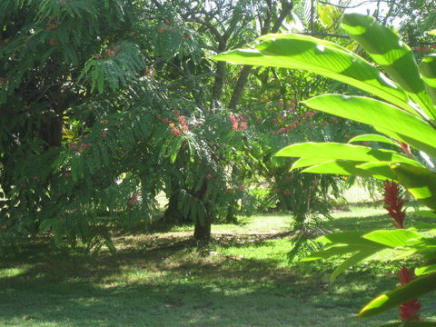 Magnetic Island Bed And Breakfast - Australia Accommodation 36