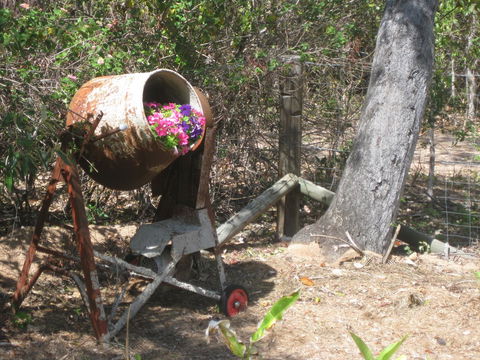 Magnetic Island Bed And Breakfast - Australia Accommodation 32