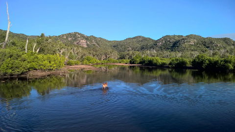 Magnetic Island Bed And Breakfast - Australia Accommodation 8
