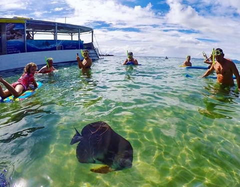 Magnetic Island Guest House - Australia Accommodation 20