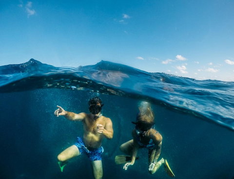 Manta Lodge YHA & Scuba Centre - Australia Accommodation 12