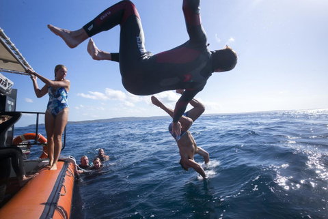 Manta Lodge YHA & Scuba Centre - Australia Accommodation 11