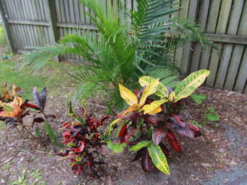 Beachside By Discover Stradbroke - Australia Accommodation 4