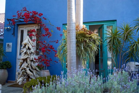 Bondi Beach House - Australia Accommodation 0