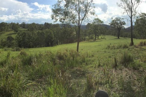 Charity Creek Retreat - Australia Accommodation 2