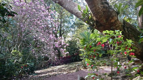 305 Montville - The Artist's Cottage - Australia Accommodation 3