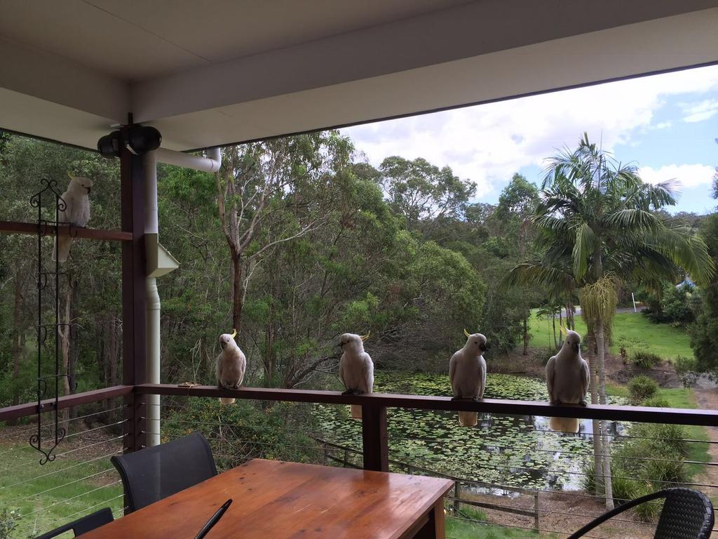 Upper Coomera QLD Australia Accommodation