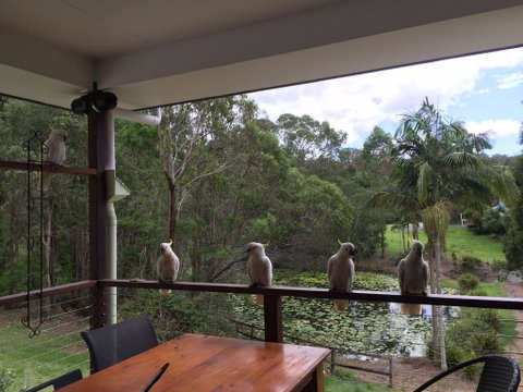 449 - Australia Accommodation 0