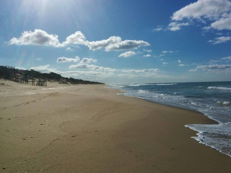 Flamingo Beach VIC Australia Accommodation