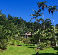 A Daintree Garden - Australia Accommodation