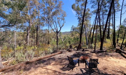 Echidna Ridge By Tiny Away - Australia Accommodation 1