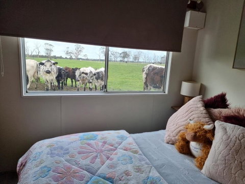 Farmstay - Australia Accommodation 1