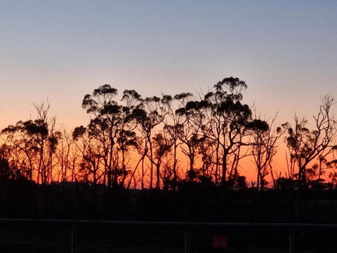 Farmstay@Morgans - Australia Accommodation 0
