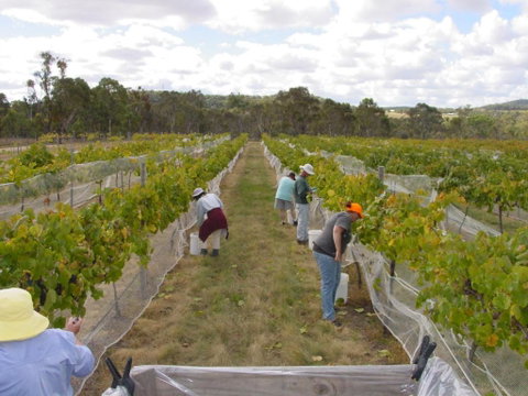 Fergies Hill Spa Cottage @ Granite Ridge Wines - Australia Accommodation 2