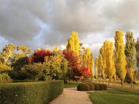 Glen Waverly Farmstay - Australia Accommodation 1