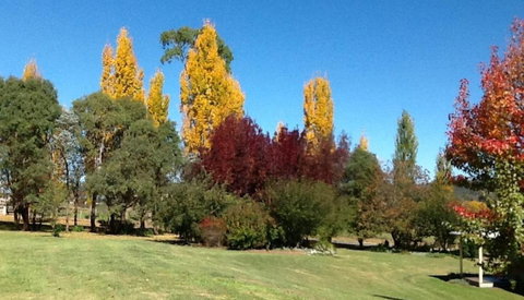 Glen Waverly Farmstay - Australia Accommodation 3
