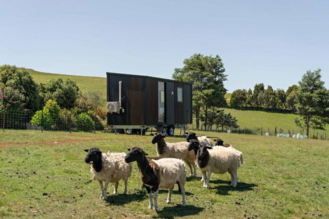Hillside Hideout By Tiny Away - Australia Accommodation 2