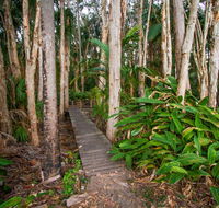 Agnes Palms Accommodation - Australia Accommodation