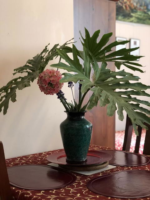 Albany Foreshore Guest House - Australia Accommodation 3