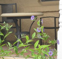 Amalie Cottage Waikerie - Australia Accommodation
