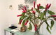 Aquatica - Luxe Holiday Home - thumb 3