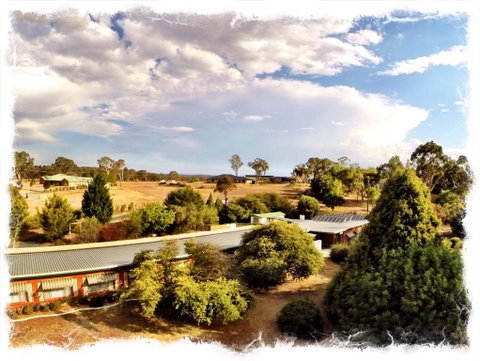 Armidale Rose Villa Motel - Australia Accommodation 1