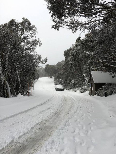 MAGNIFICENT SKIING ON MOUNT BULLER - Australia Accommodation 3
