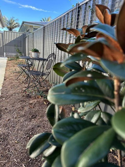 Magnolia Little Gem - Australia Accommodation 0