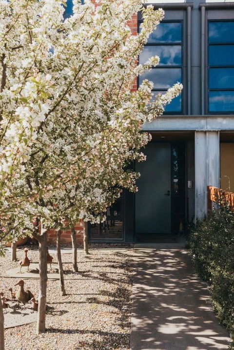Mews Cottages - Australia Accommodation 2