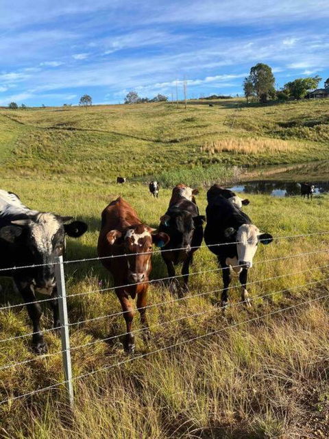 Modern Farmhouse - Australia Accommodation 3